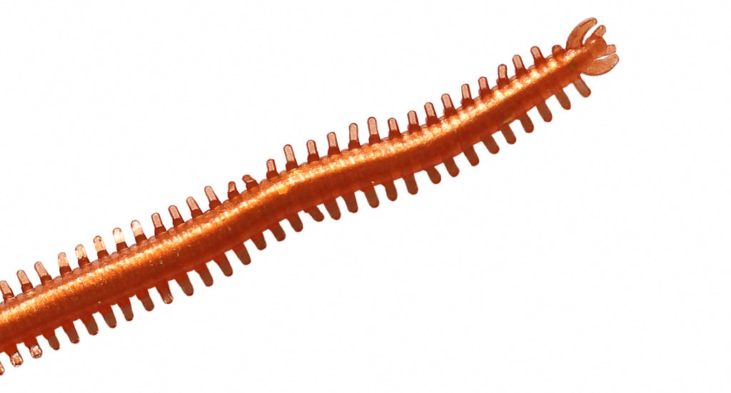 Sea Worm Soft Bait, 13 cm (5.1 in), 10 or 20 Pack – product photo