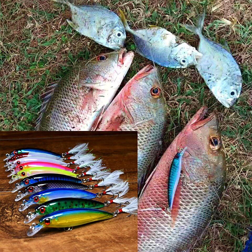 Slow Sinking Laser Minnow Hard Bait, 7 g (0.25 oz) – product photo