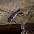 8 cm Soft-Body Minnow Lure, 8.8 g (0.31 oz) – product photo