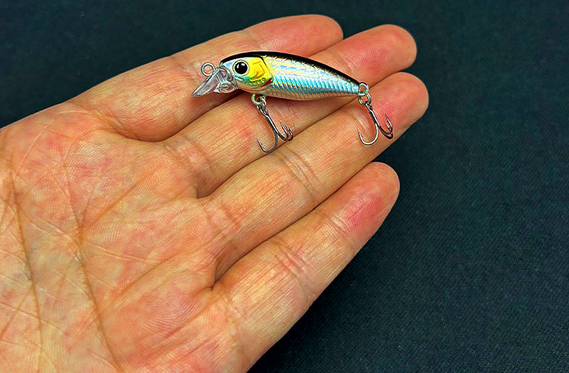 Micro Floating Minnow Lure with Rattle, 2.6 g (0.09 oz) – product photo