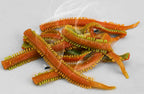 Sandworm Soft Bait, Texas Rig Worm, 5 cm (2 in) / 8 cm (3 in) – product photo