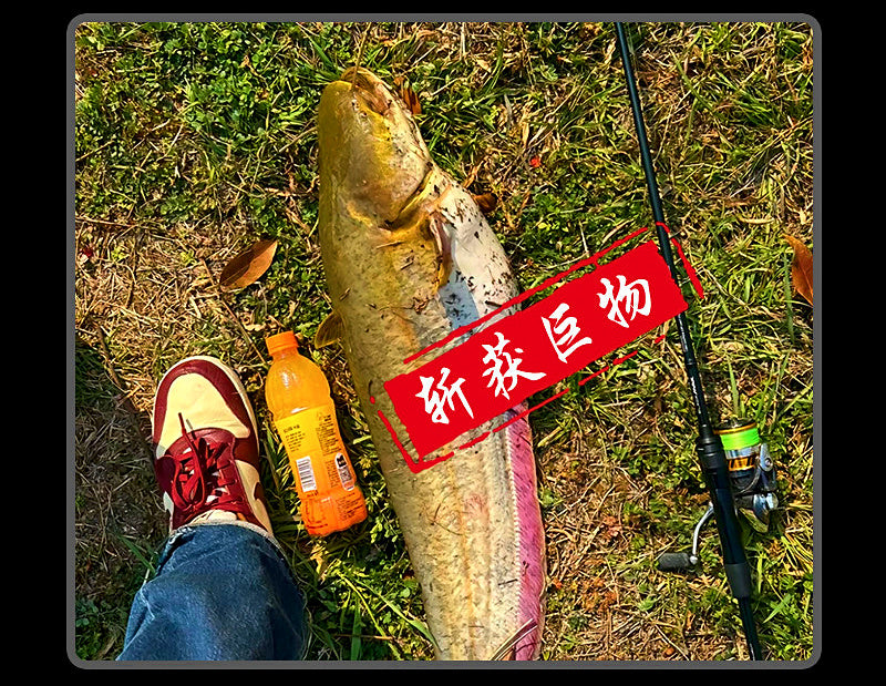 PE Braided Fishing Line, PE 2.0–10.0, 150 & 300 m – product photo