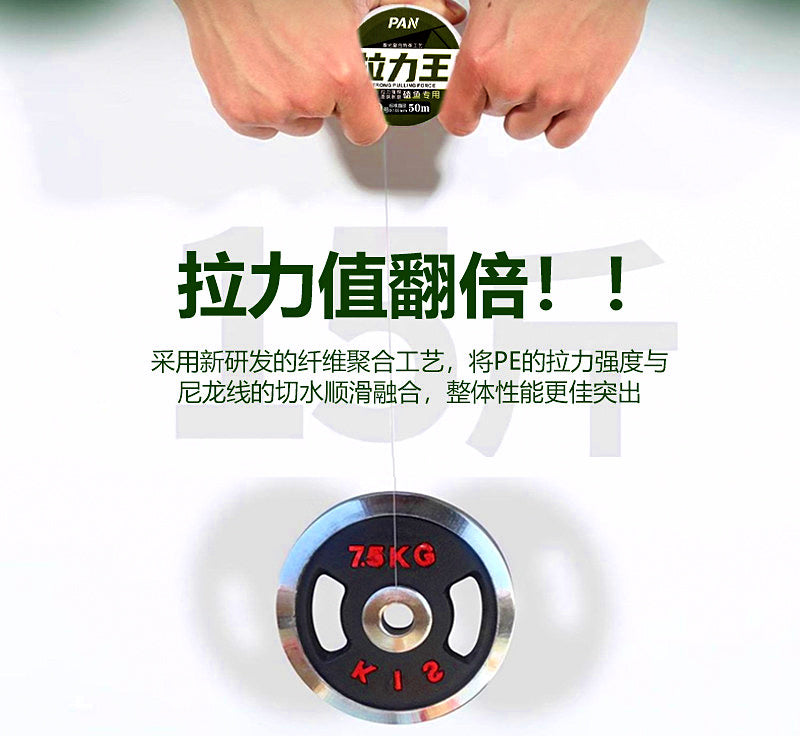 PE Fishing Line, Main Line or Leader, PE 0.2–4.0 – product photo