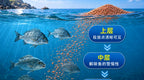 Sinking Chum Pellets for Saltwater Fishing, 2600 g (91.7 oz) – product photo