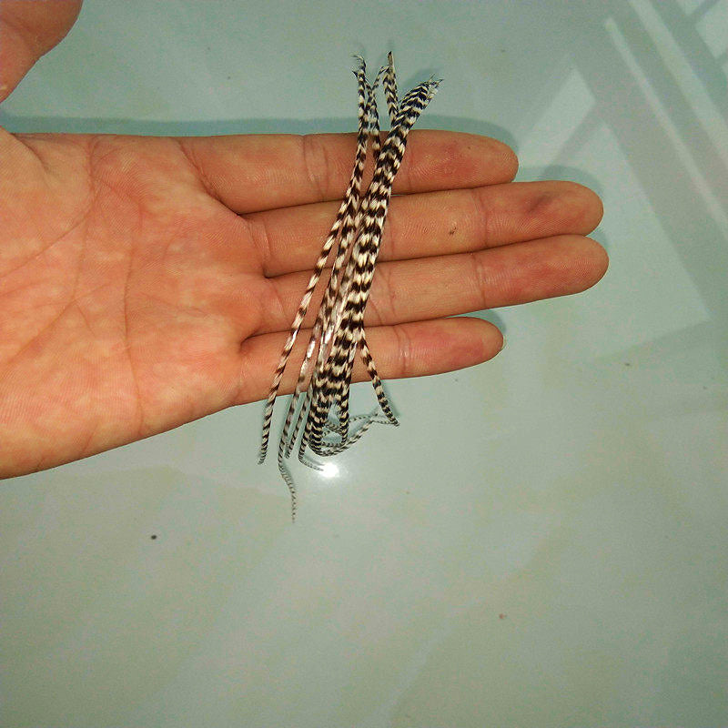 Grizzly Rooster Hackle Feathers for Fly Tying, Black & White – product photo