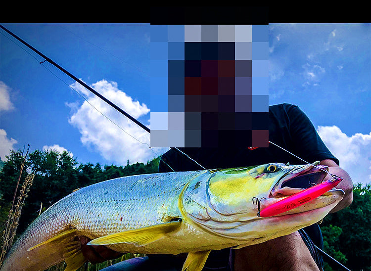 Sinking Pencil Lure, 8–22 g (0.3–0.8 oz), 7–9.5 cm – product photo