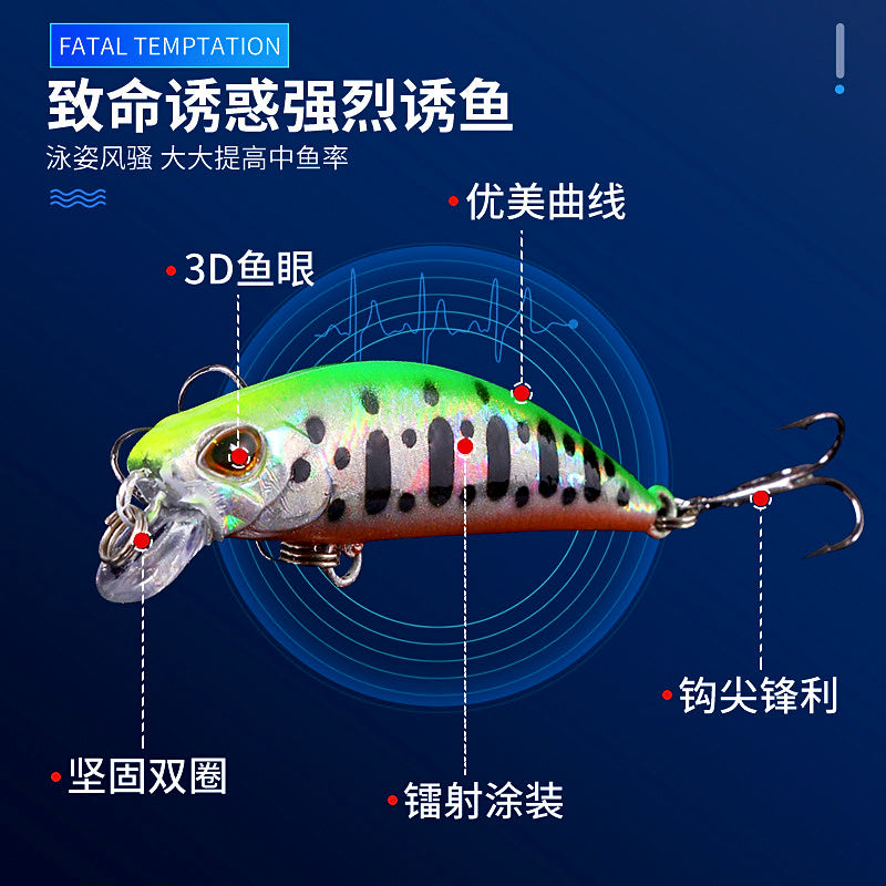 Sinking Minnow Hard Bait, 6 cm (2.4 in), 4.5 g (0.16 oz) – product photo