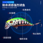 Sinking Minnow Hard Bait, 6 cm (2.4 in), 4.5 g (0.16 oz) – product photo