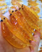 Antarctic Krill Bait Box, Yellow or Red, Saltwater – product photo
