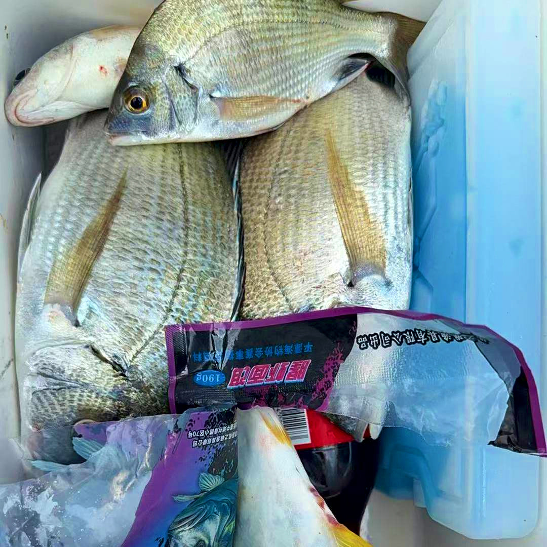 Sinking Dough Bait for Black Sea Bream, 190 g (6.7 oz) Pack – product photo