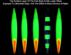 Glow UV Slow Pitch Jig, 150–600 g (5.3–21.2 oz) – product photo
