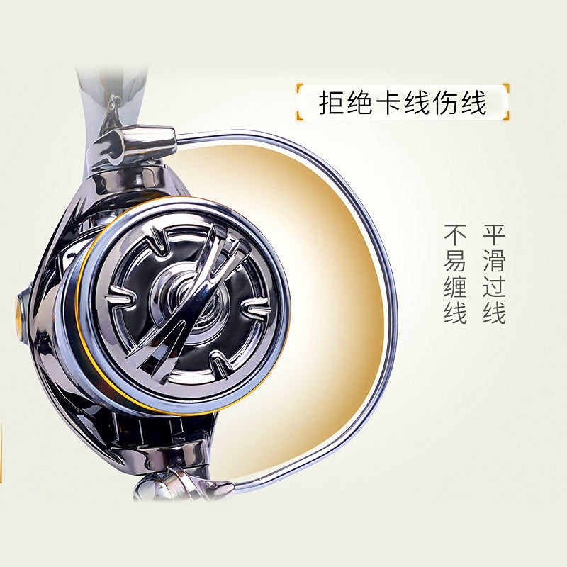 Front Drag Spinning Reel, 6 BB, 5.2:1, Sizes 800–3000