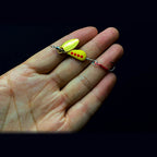 Reinforced Spinner Spoon Lure, 4.7 & 6.7 g (0.17 & 0.24 oz)