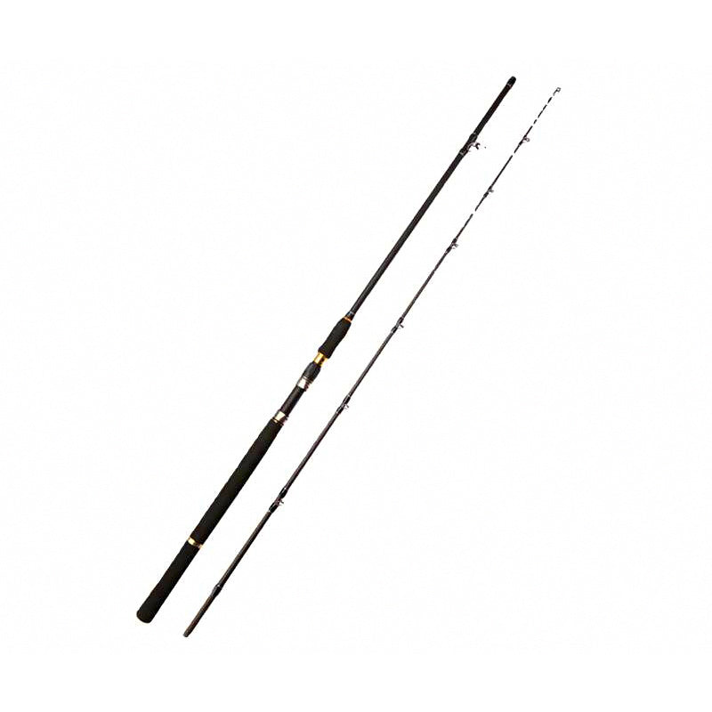 Heavy Power Boat Fishing Lure Rod, 2-Piece Carbon, 2.1–3.0 m