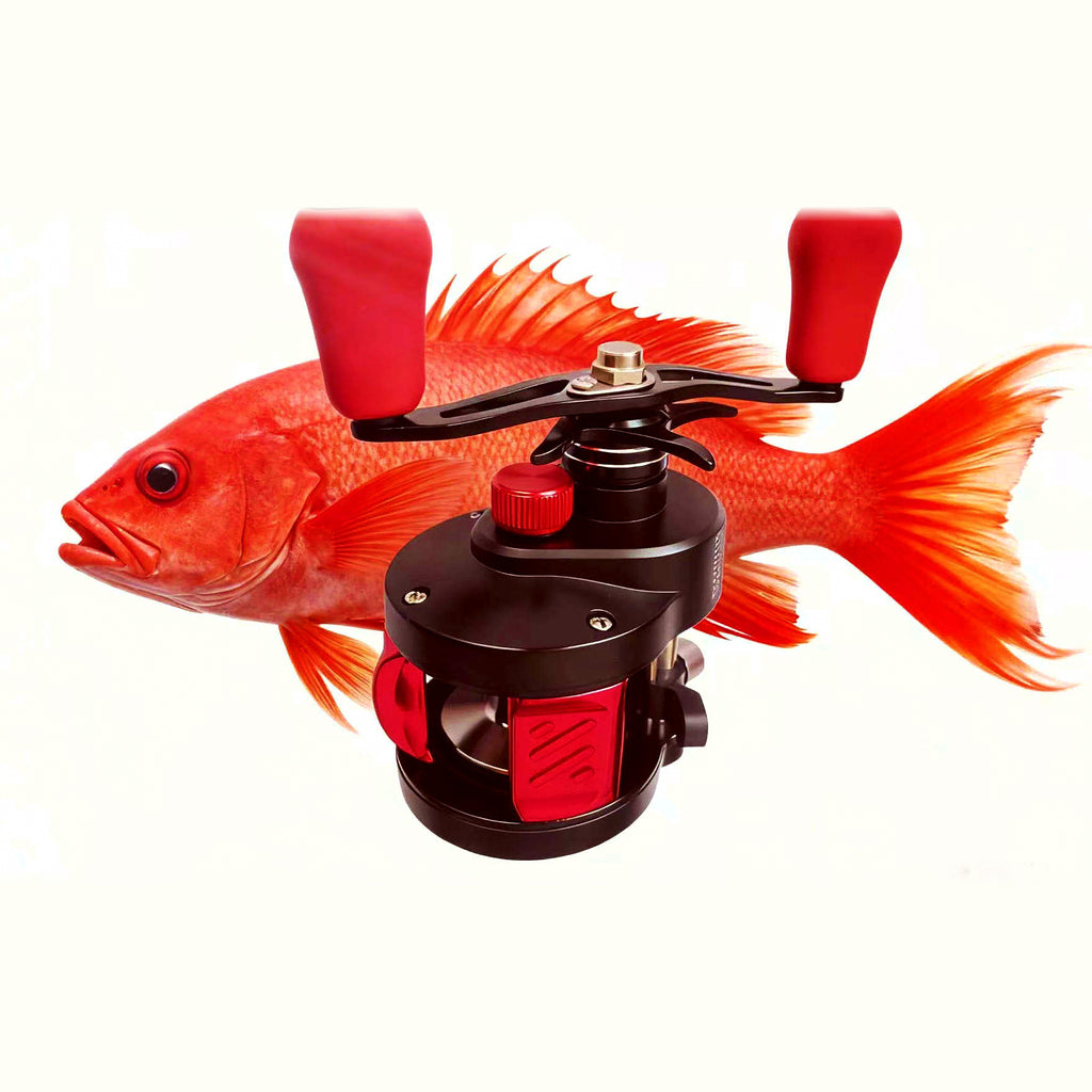 Aluminum Baitcasting Reel, 6 Bearings, 6.3 Gear Ratio
