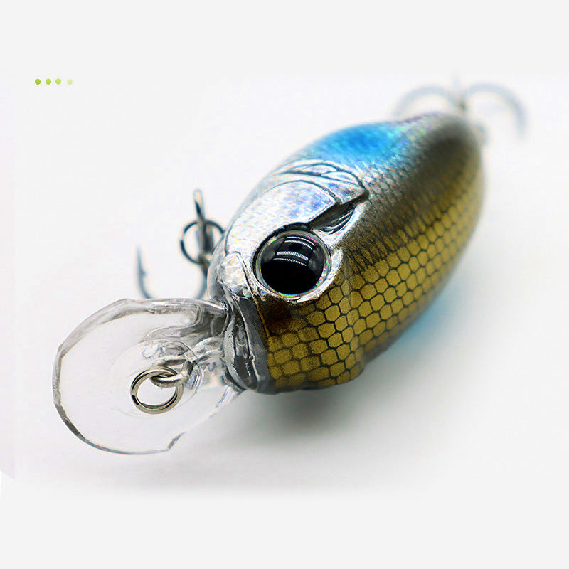 Floating Minnow Lure, Long Lip, 5–8 g (0.18–0.28 oz)