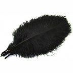 Fly Tying Feathers: Grizzly Saddle Hackle, Peacock, Ostrich