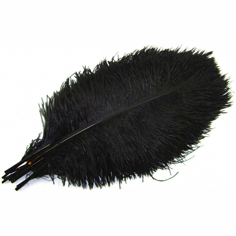 Fly Tying Feathers: Grizzly Saddle Hackle, Peacock, Ostrich
