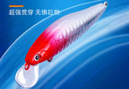 Minnow Hard Bait, Slow Sinking & Floating, 5–14 g (0.18–0.49 oz) – product photo