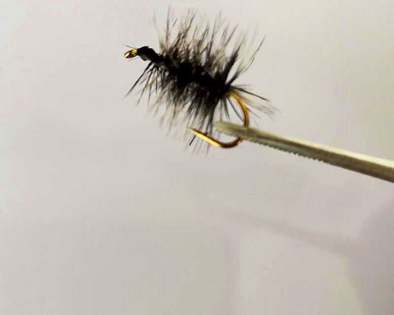 Griffith Pattern Fly Hooks, Tied Micro Flies, Sizes 8–18 – product photo
