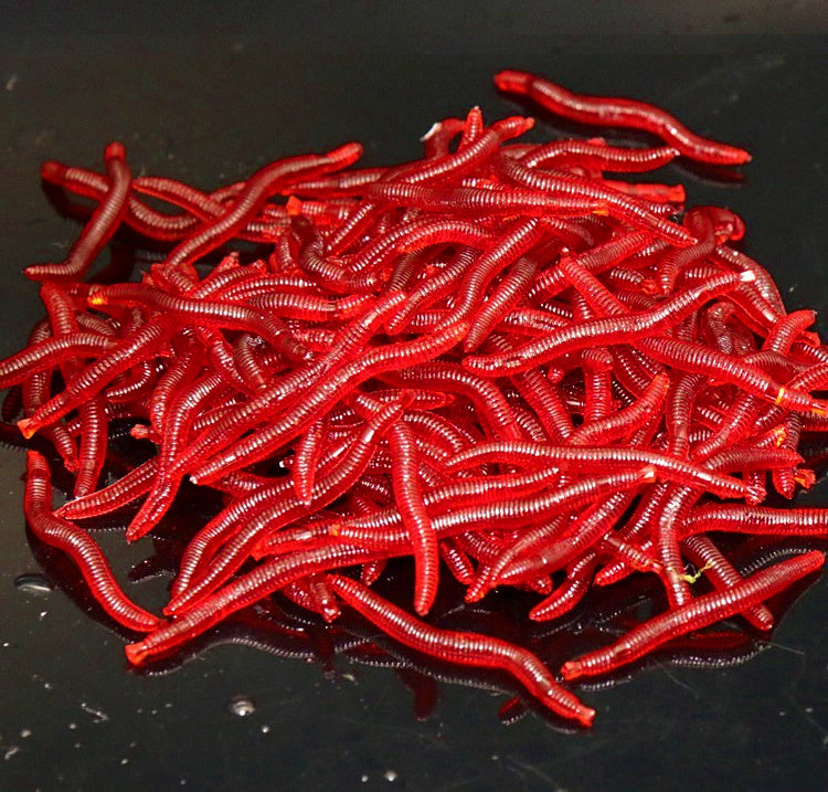 4 cm Worm Soft Bait, 100 Pack, Red or Glow – product photo
