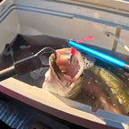 Lead Head T-Tail Soft Swimbait, 20–35 g (0.7–1.2 oz) – product photo
