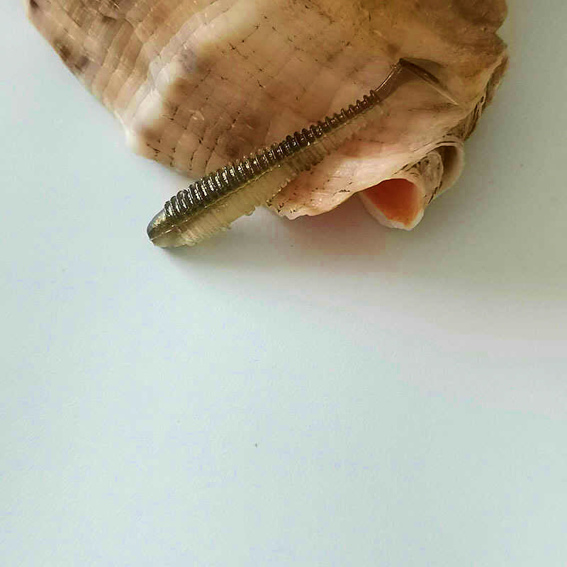 Curly Tail Grub Soft Baits, 3.5–7.5 cm (1.4–3 in), Pack – product photo