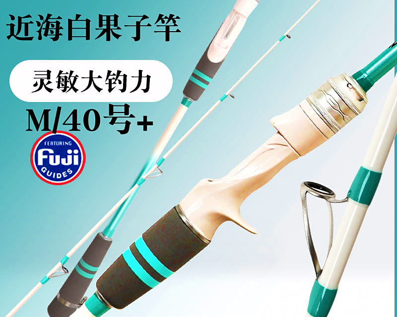 Solid Tip Boat Rod, 1.65–2.7 m (5.4–8.9 ft), Carbon – product photo