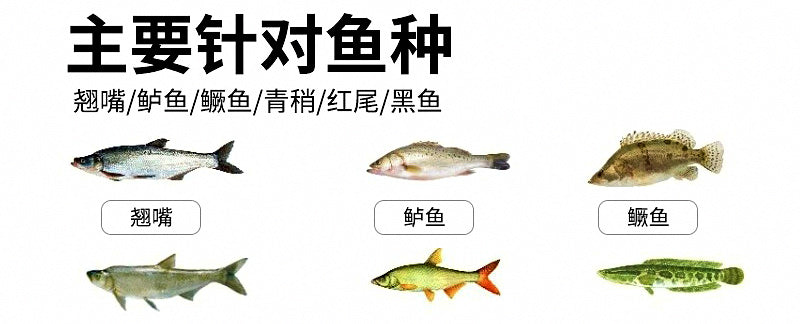 T-Tail Soft Plastic Swimbait, 50-Pack, 5.5–7.5 cm (2.2–3.0 in) – product photo