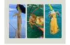 Glow Wooden Shrimp Squid Jig (Egi), Size 3.5 – product photo