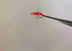 Fluorescent Pink Ant Fly Hooks, Sizes 12–20 – product photo