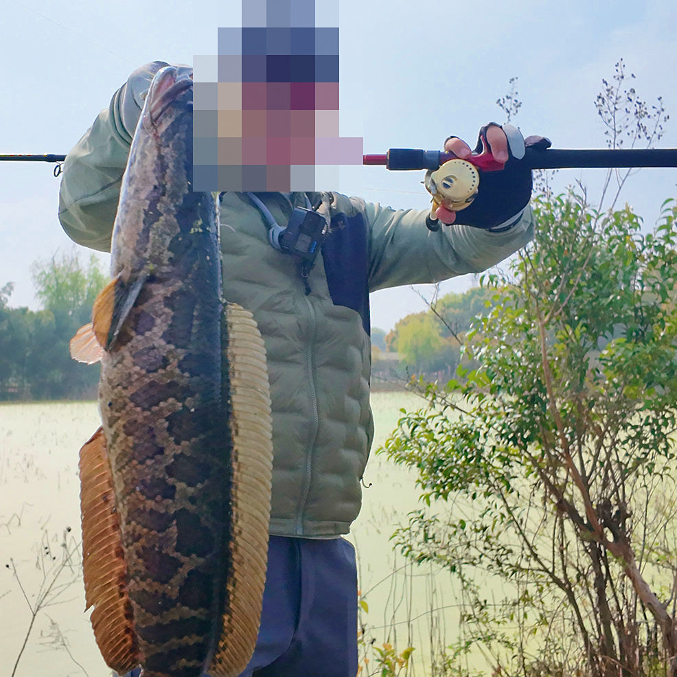 5-Piece Carbon Travel Lure Rod, Casting & Spinning – product photo