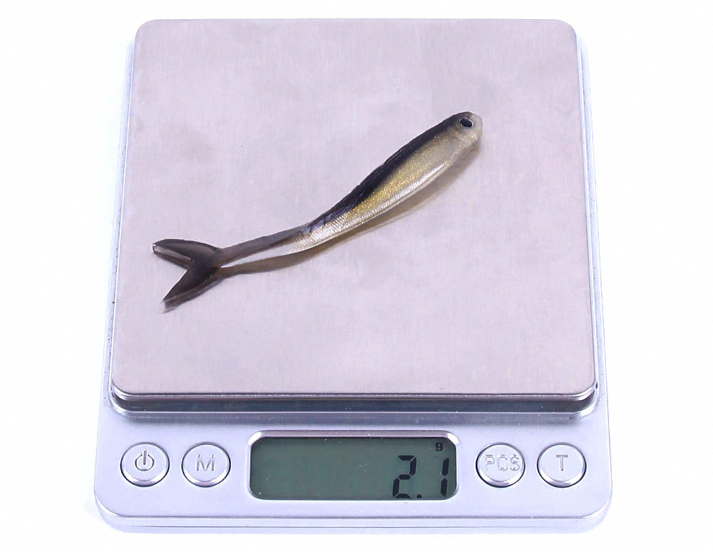 Two-Tone Minnow Soft Baits, 8 cm (3.1 in), 2 g, Pack of 10 – product photo