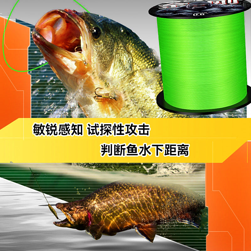 8-Strand Braided PE Line, PE 0.6–5.0, 300 m or 500 m – product photo