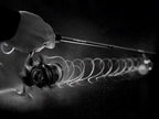Lightweight Spinning Reel, 6 Bearings, 5.2:1 Gear Ratio – product photo
