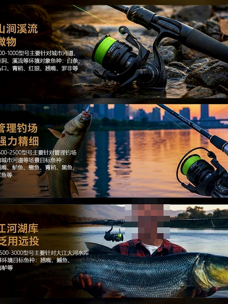 Front Drag Spinning Reel, 5.2:1, 6 Bearings, Sizes 800–3000 – product photo