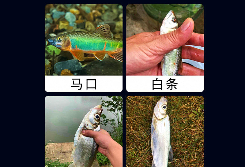 Pre-Tied Micro Fly Hooks & Sequin Rigs, Sizes #14–#18 – product photo