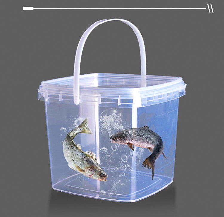 Clear Portable Live Fish Bucket, 3 L / 5 L (0.8 / 1.3 gal) – product photo