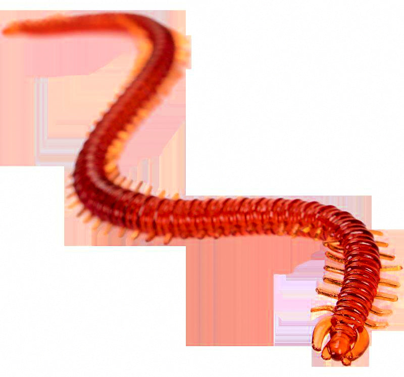 Sandworm Soft Bait Lures, 10-Pack, 7 g (0.25 oz) – product photo