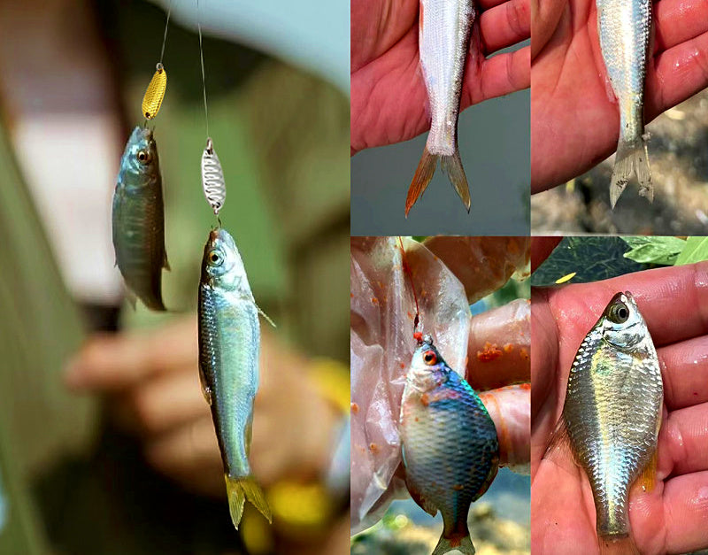 Small Spoon Lure Set, 2.5–7 g (0.09–0.25 oz) – product photo