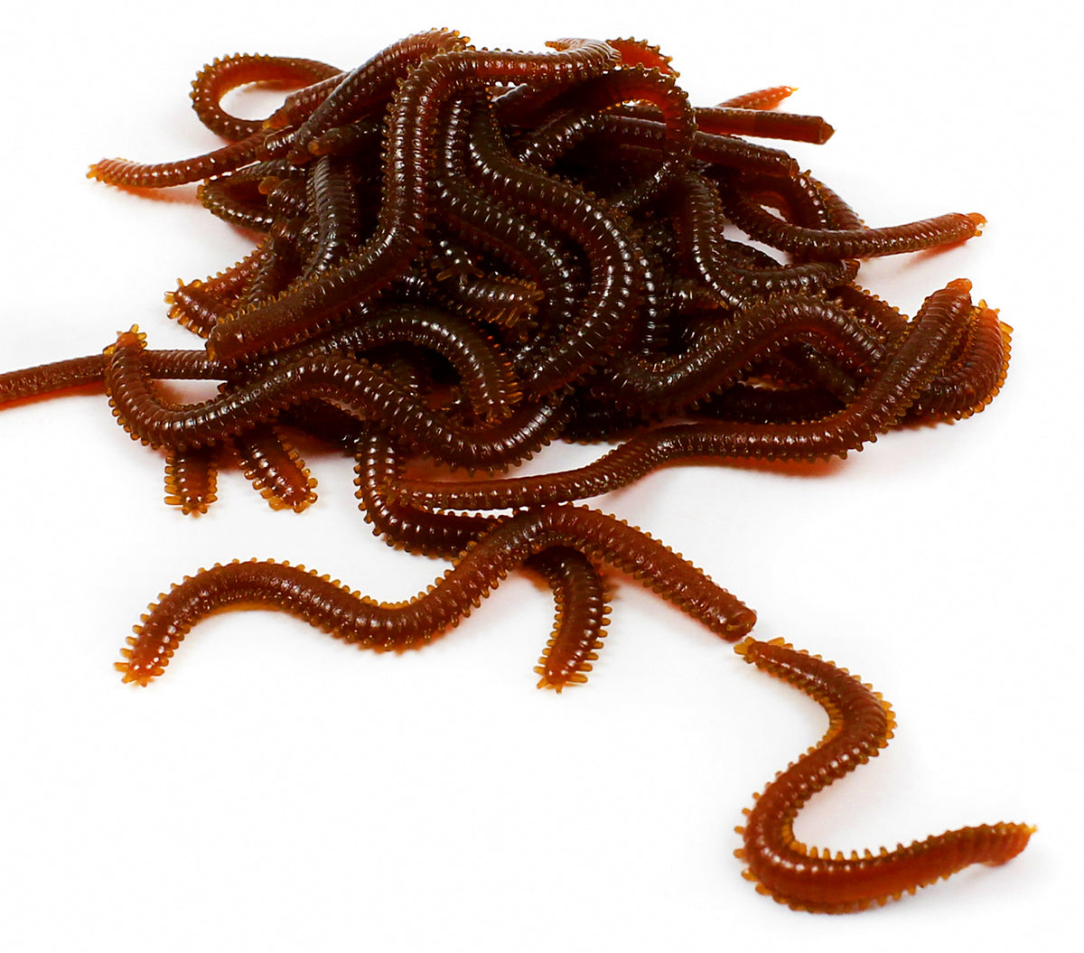 Soft Sandworm Lure Bait Pack, Sinking or Floating, 50/100 pc – product photo
