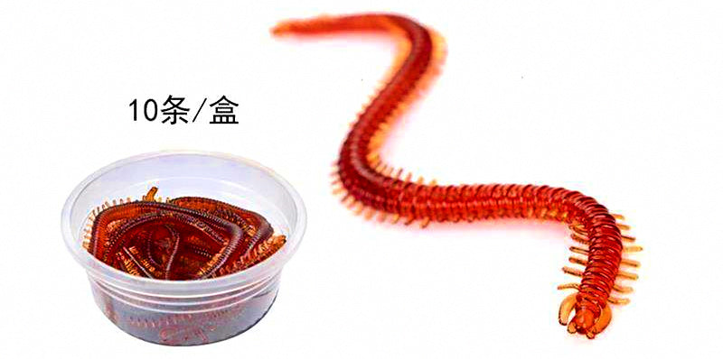 13 cm (5 in) Sandworm Soft Bait, 10-Pack – product photo