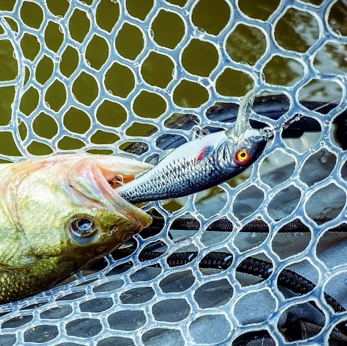 8 cm Soft-Body Minnow Lure, 8.8 g (0.31 oz) – product photo