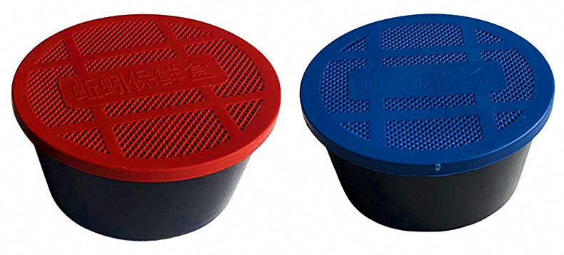 Plastic Worm Bait Box with Lid, Double Layer, 2 Sizes – product photo
