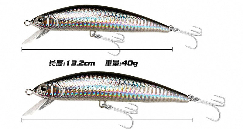 Sinking Minnow Hard Bait, 40 g & 60 g (1.4 & 2.1 oz) – product photo