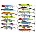 Rattling Minnow Hard Bait, Slow Sinking / Suspending