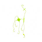 Glow Explosion Hooks, 5-Prong & 7-Prong, Sizes 8-14