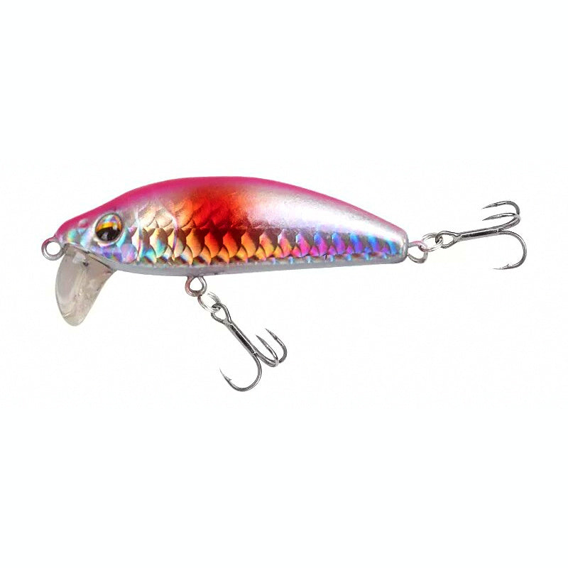 Slow Sinking Minnow Lure with Rattle, 3.5–18 g (0.12–0.63 oz)