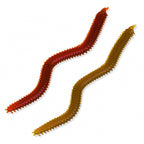 Floating Sandworm Soft Bait, Brown-Red, 20 Pack