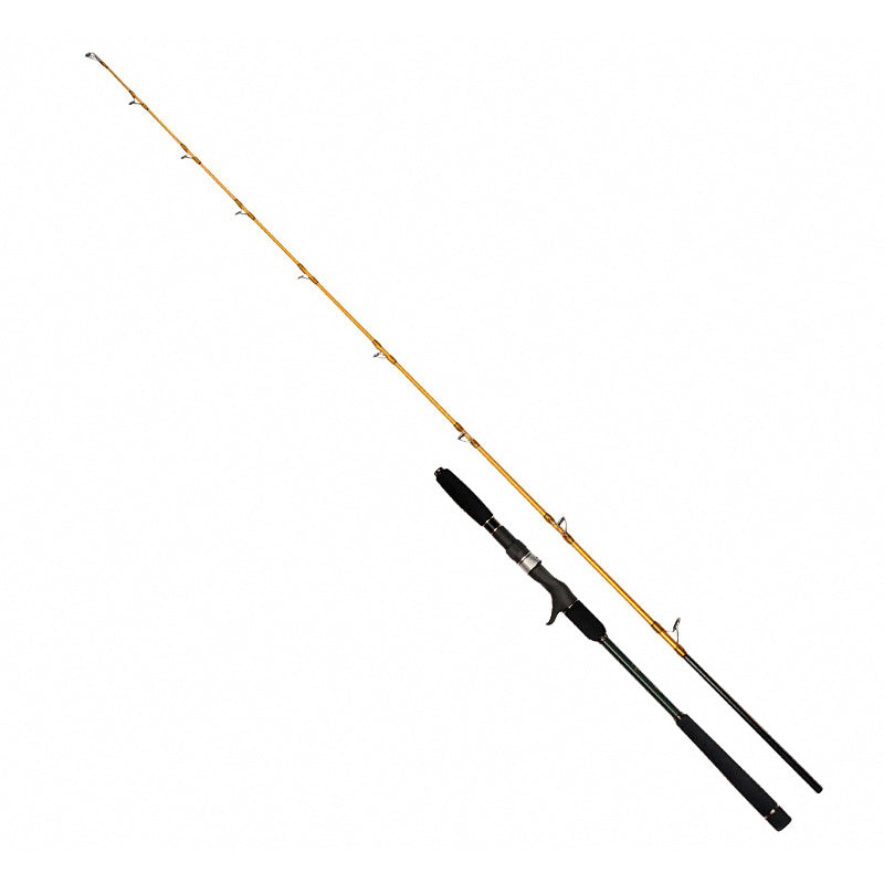 Lightweight Electric Reel Jigging Rod, Spiral Guides